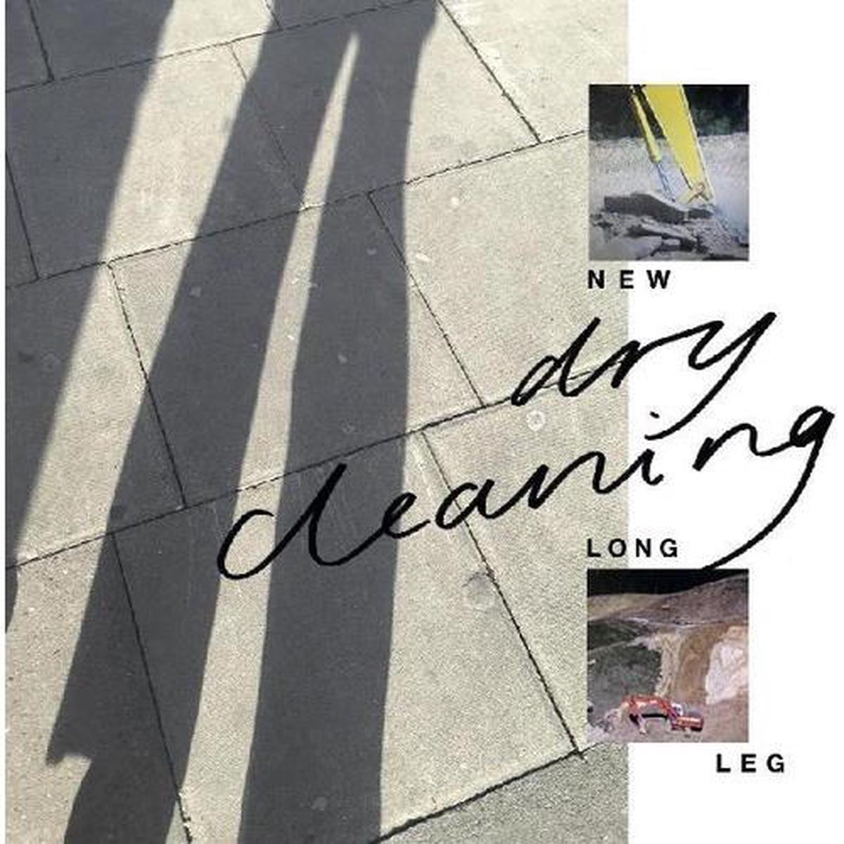 New Long Leg - Vinyl LP