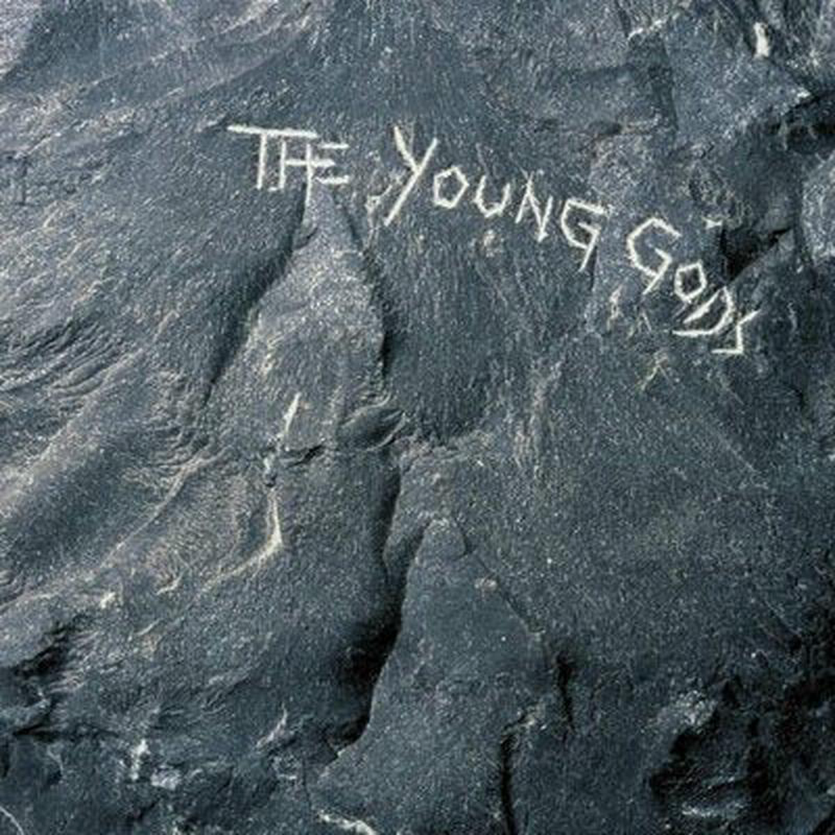 The Young Gods 8211 The Young Gods VINYL