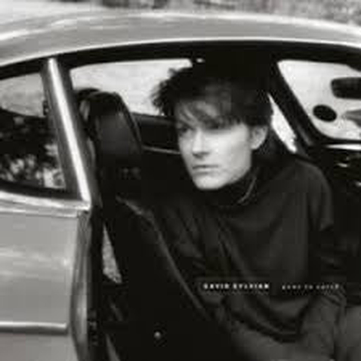 SYLVIAN DAVID-GONE TO EARTH 2LP *NEW*