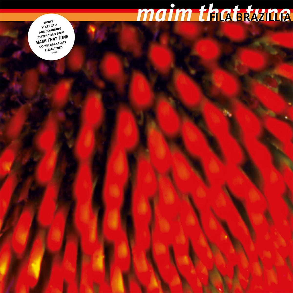 FILA BRAZILLIA 8211 Maim That Tune (30th Anniversary Reissue) 8211 2LP 8211 Vinyl