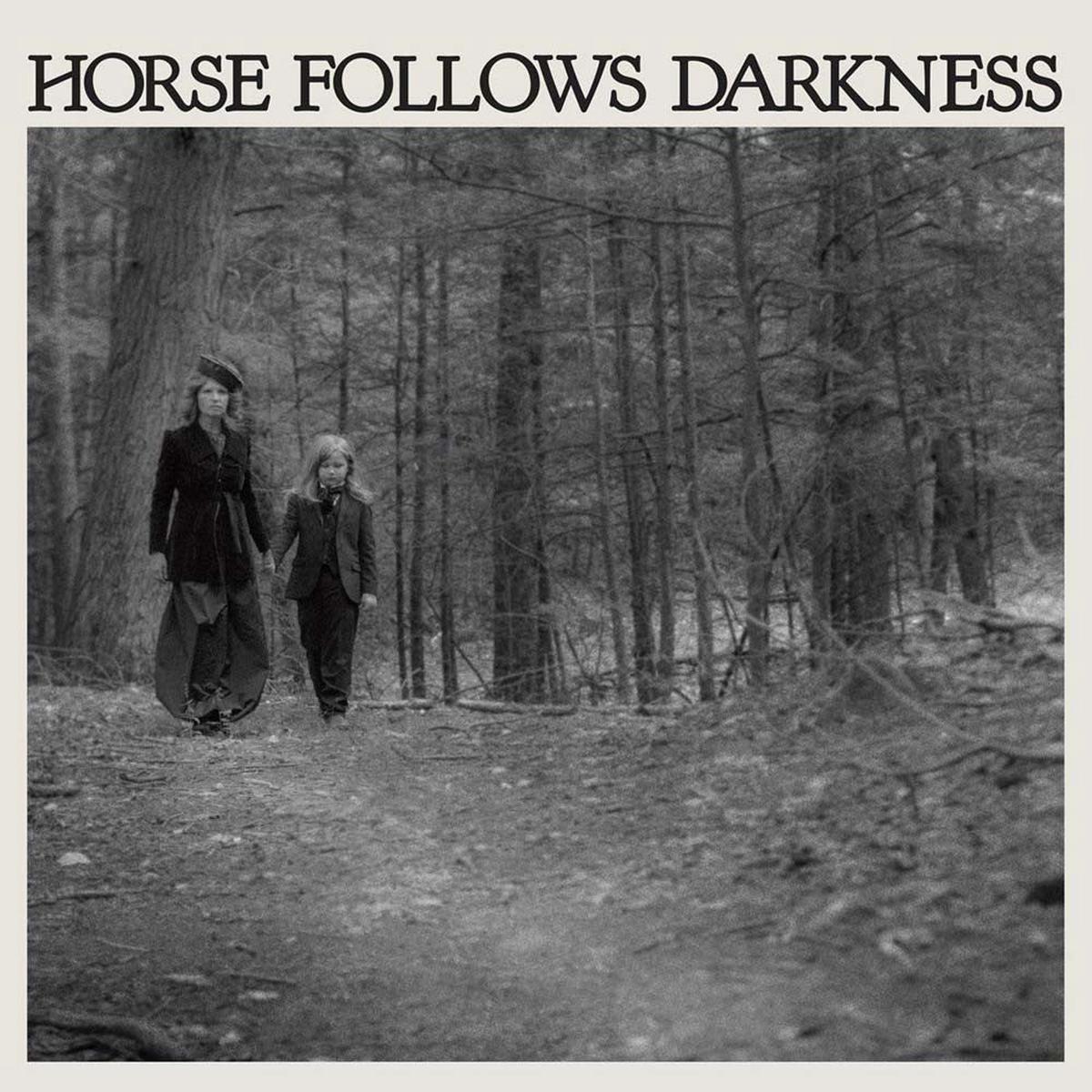 DELIA GONZALEZ Horse Follows Darkness Vinyl LP 2017 - Default Title