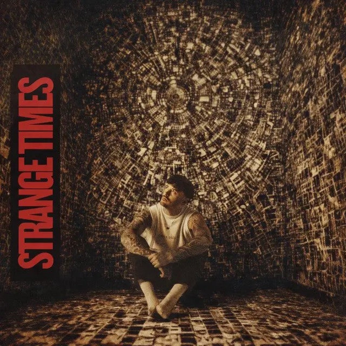Billy Reekie Strange Times Vinyl LP 2026