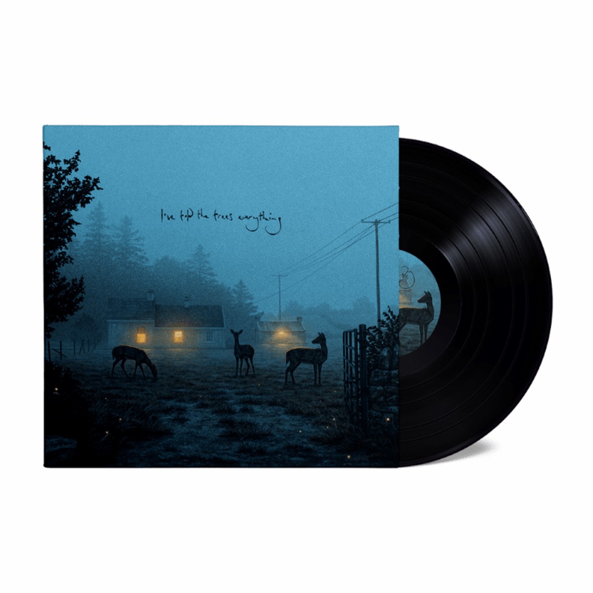 I've Told the Trees Everything - Dermot Kennedy [VINYL]