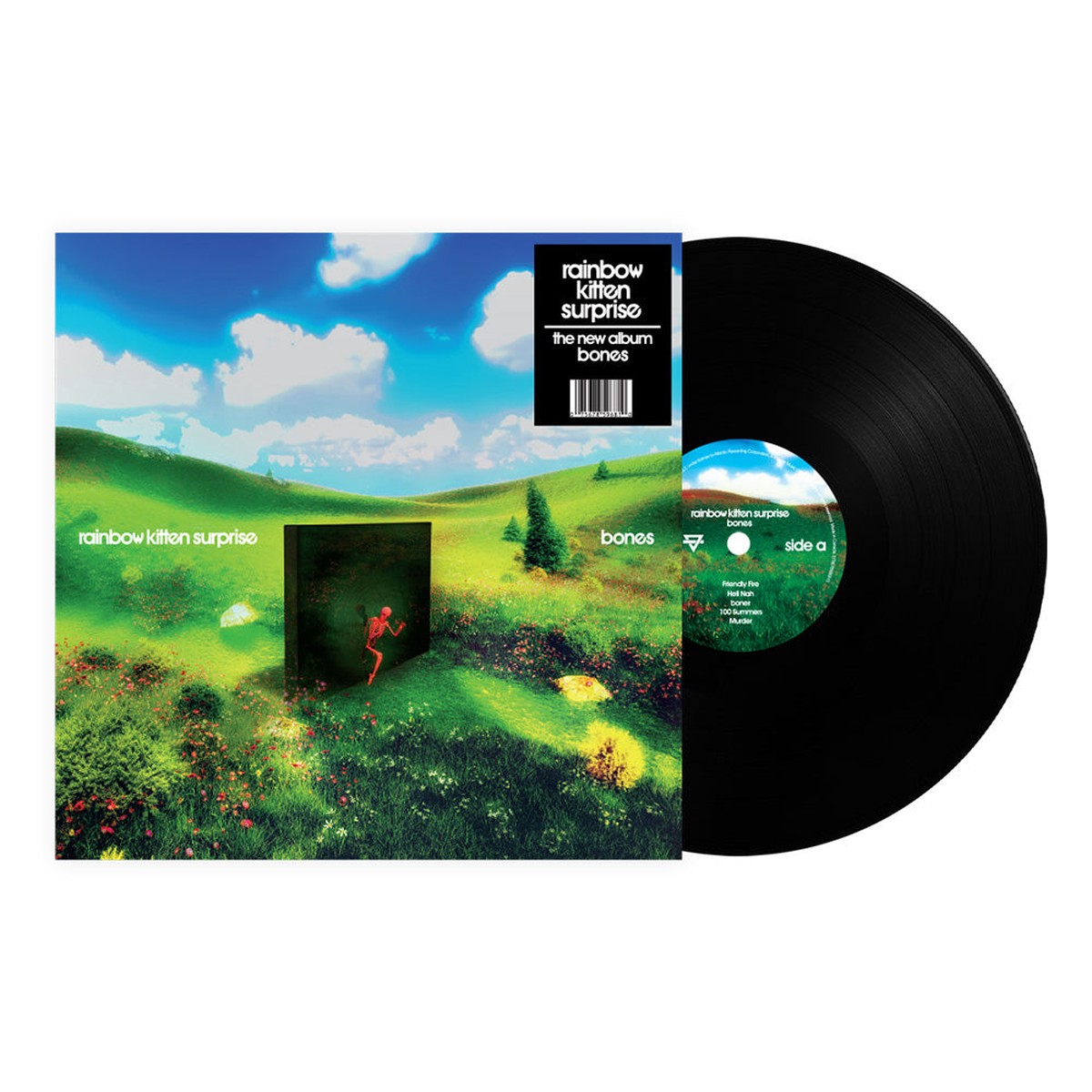 Rainbow Kitten Surprise bones Vinyl LP 2025