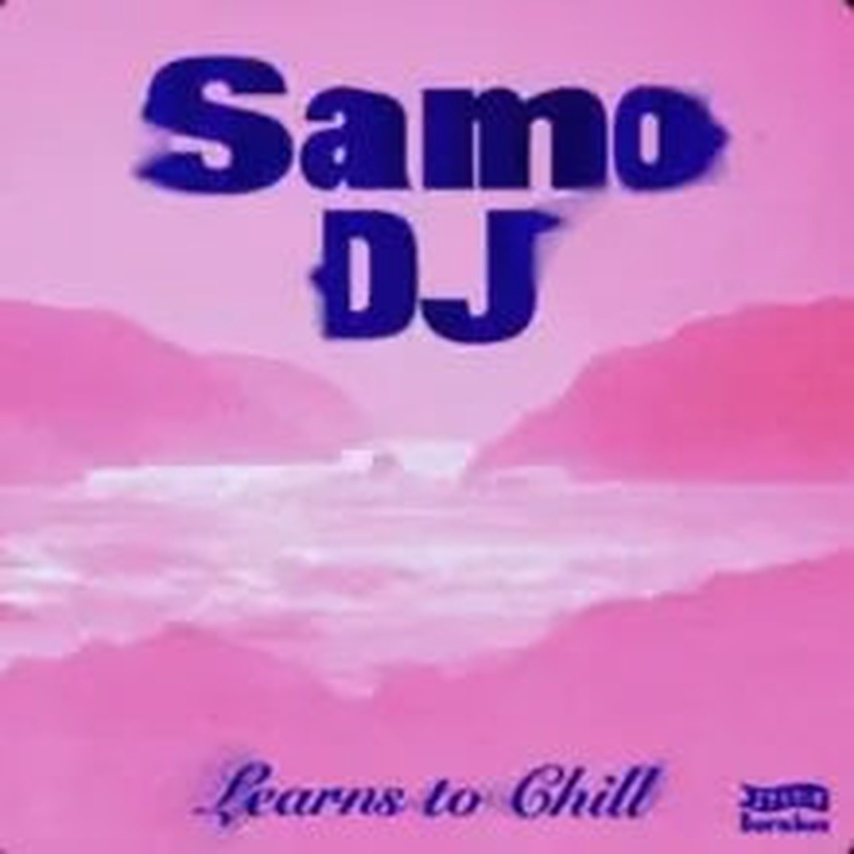 Learns to Chill [12" Vinyl]