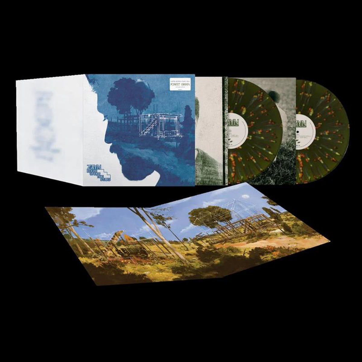 ZAYN 8211 Room Under The Stairs 8211 2LP 8211 Forest Green Vinyl