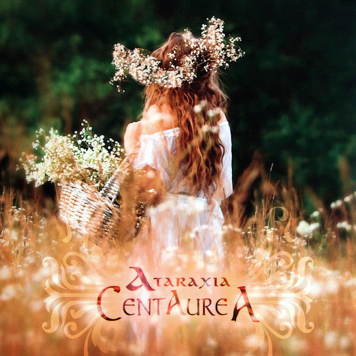 Ataraxia- Centaurea