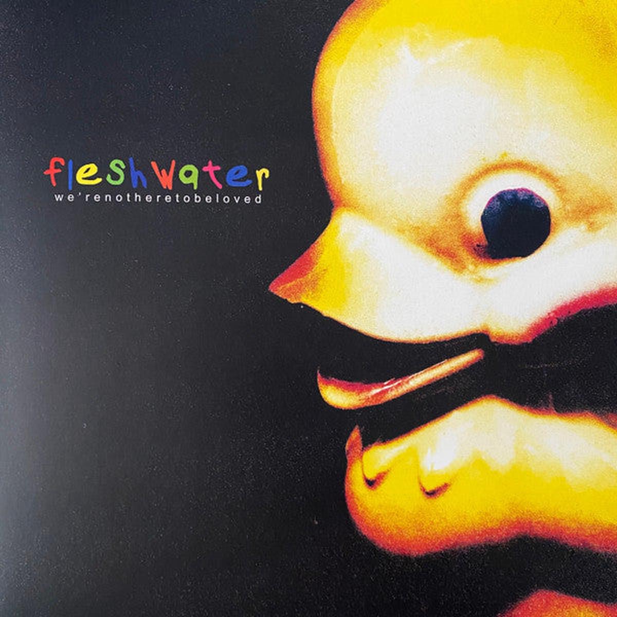 Fleshwater - Were Not Here to Be Loved LP