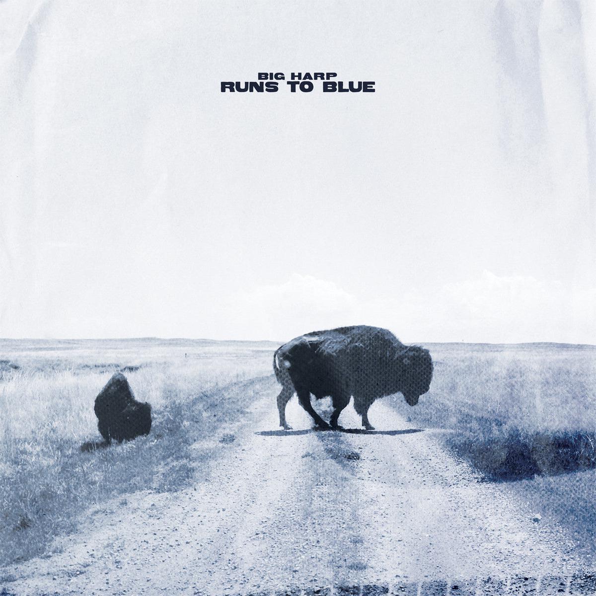 (PRE ORDER 3/27/26) Runs to Blue (BLUE VINYL) | - - ALT/INDIE *NEW*