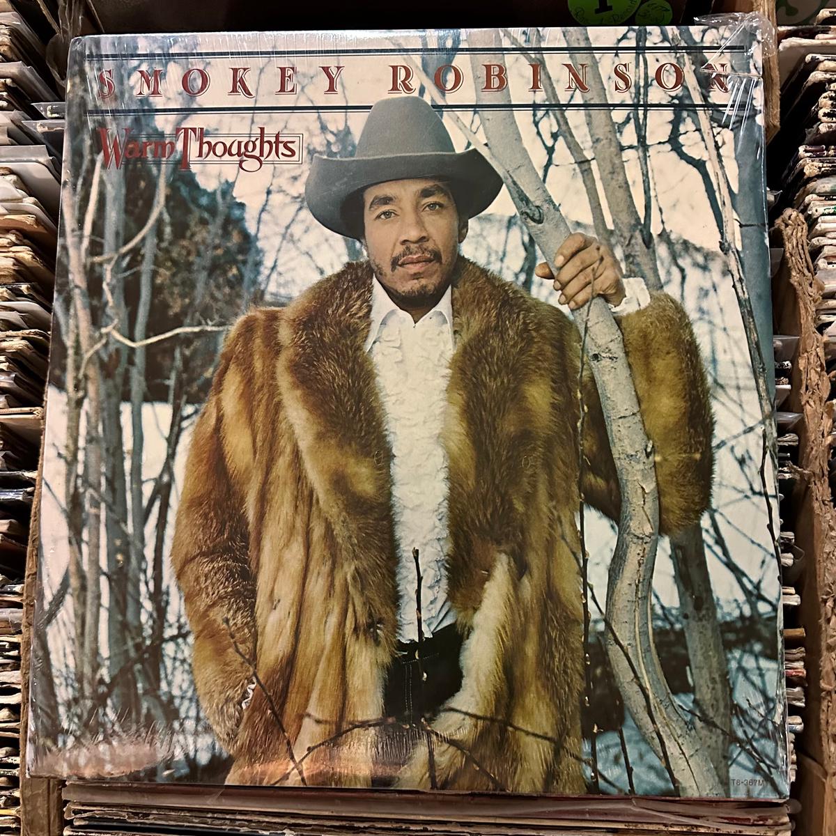 Smokey Robinson  Warm Thoughts T8-367M1 Vinyl LP