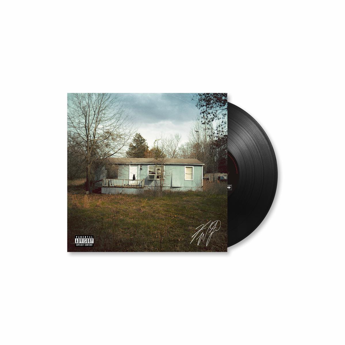 9 Lives - Classic Black Cat Vinyl